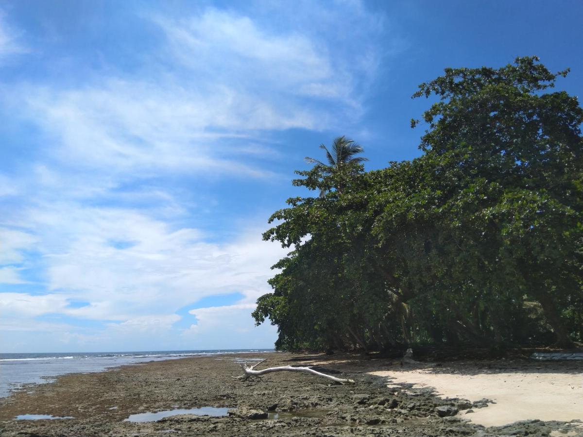 Cabinas Talamanca Sa Hotell Puerto Viejo de Talamanca Eksteriør bilde