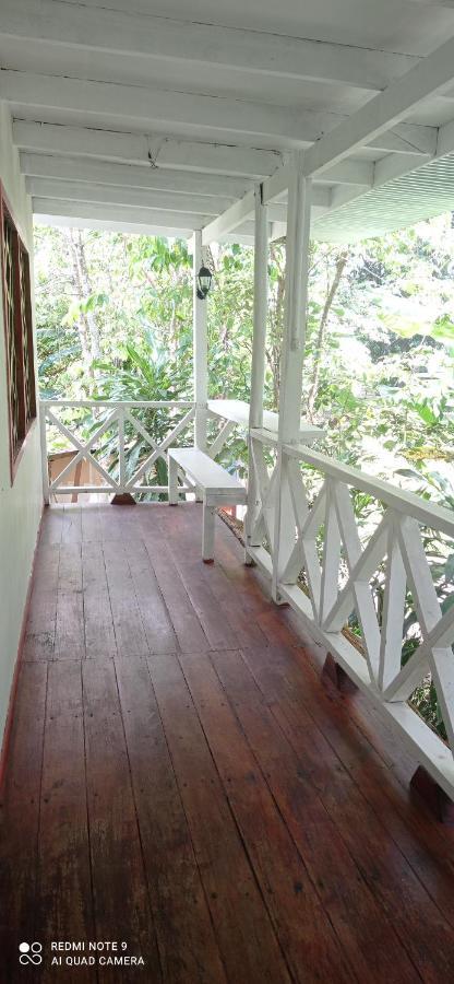 Cabinas Talamanca Sa Hotell Puerto Viejo de Talamanca Eksteriør bilde