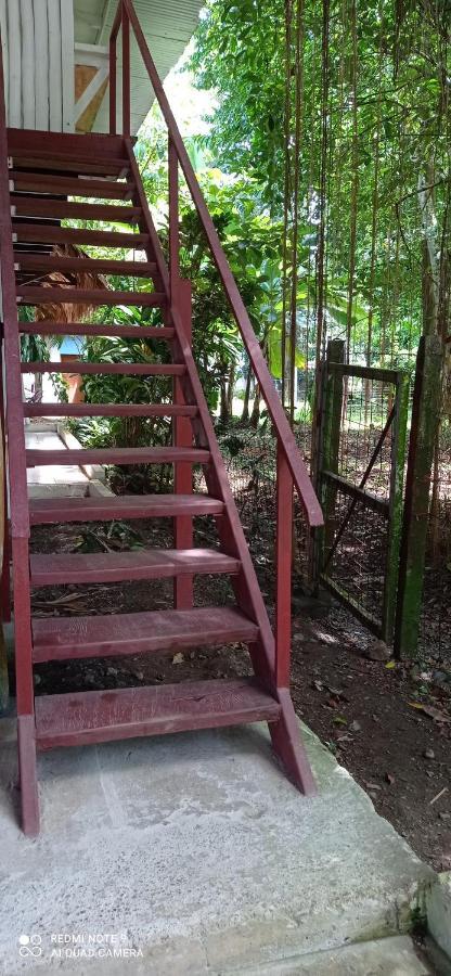 Cabinas Talamanca Sa Hotell Puerto Viejo de Talamanca Eksteriør bilde